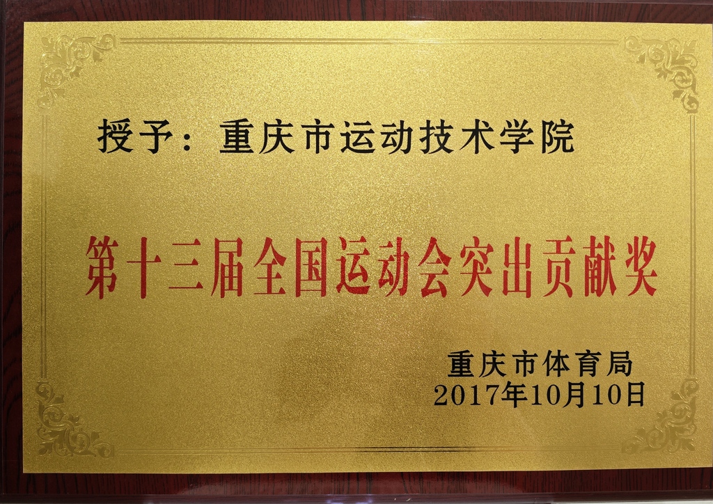 第十三届全国运动会突出贡献奖